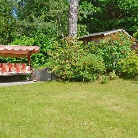 - Apt. 02 * בינץ